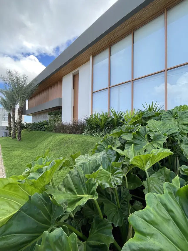 Maciço de folhagens tropicais na fachada de um edifício corporativo