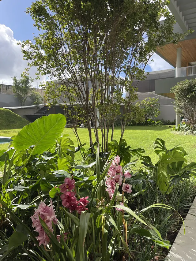 Jardim residencial com espécies floridas adaptadas ao clima do Nordeste